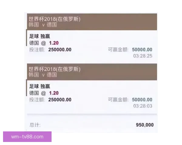 全球视角深度解析世界杯买球平台玩法策略安全指南与未来趋势